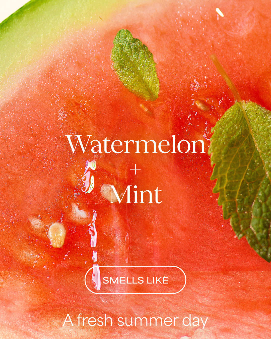 Close-up of watermelon with mint leaves and text 'Watermelon + Mint' on a red background.