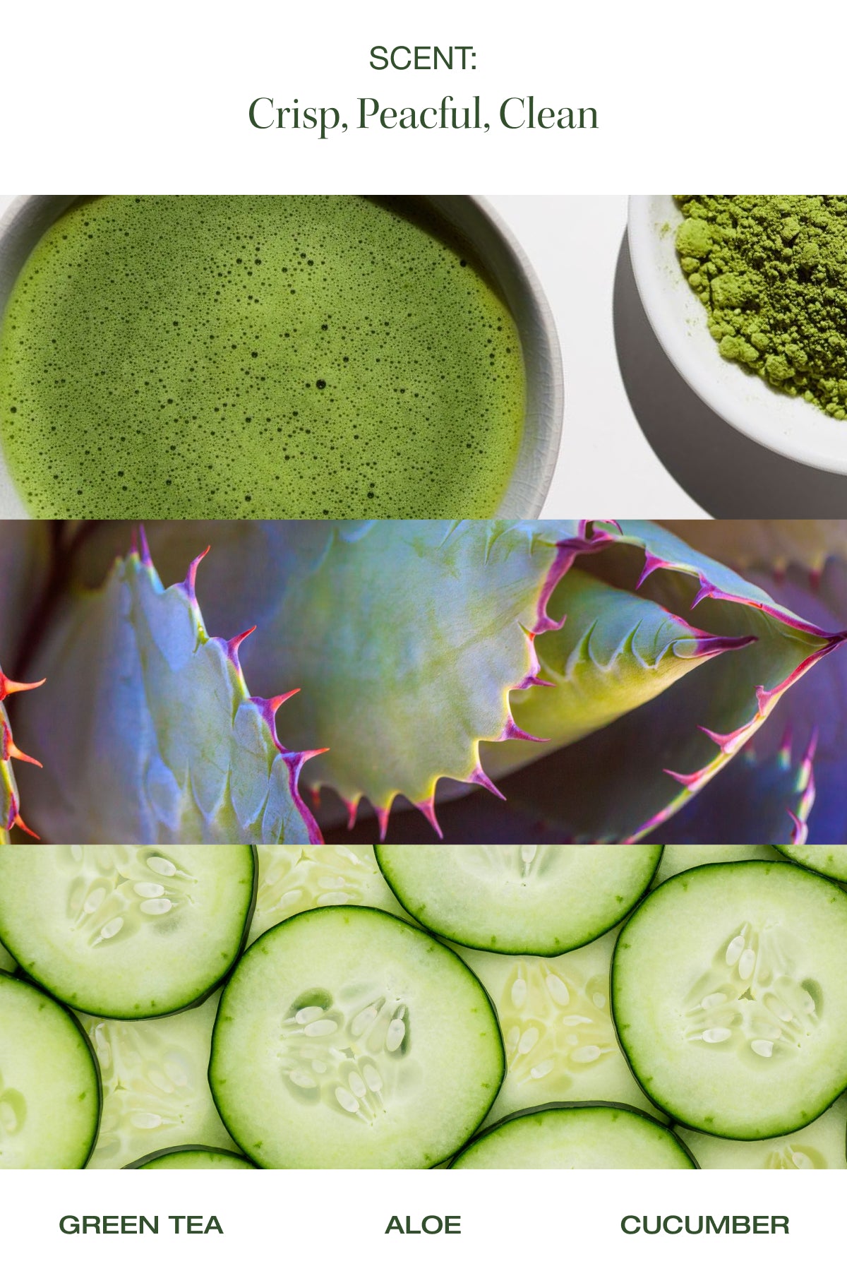 green tea aloe and cucumber